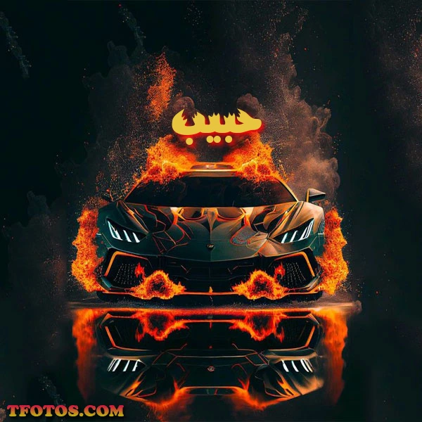 أجمل صور لاسم حبيب