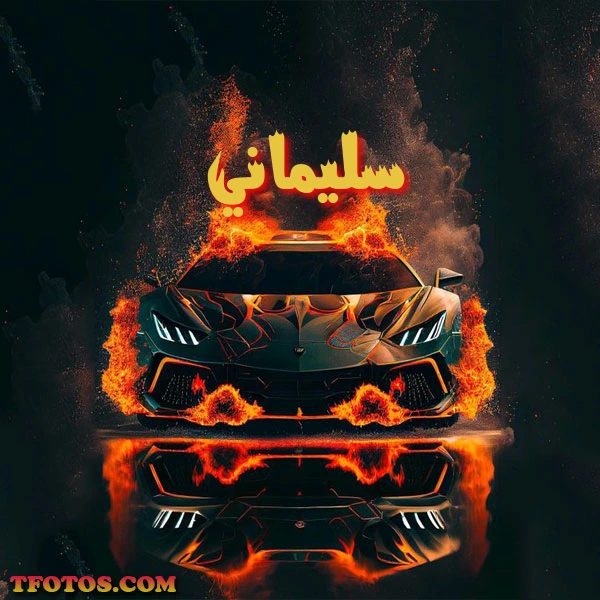 أجمل صور لاسم سليماني