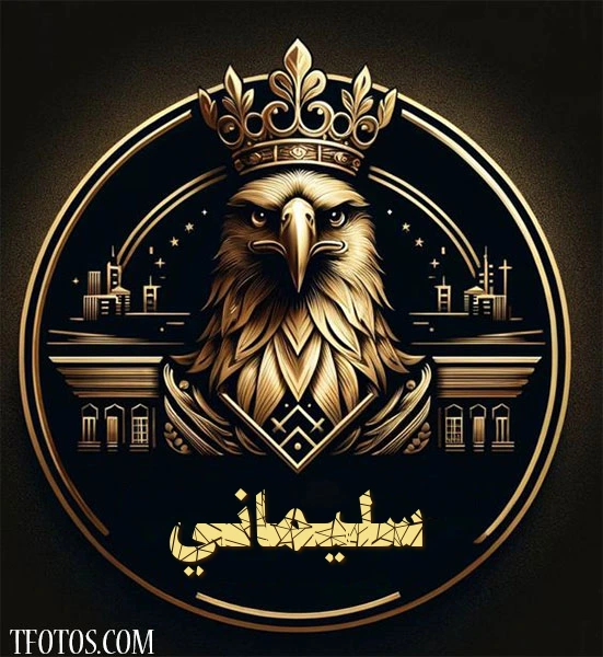 أجمل صور لاسم سليماني