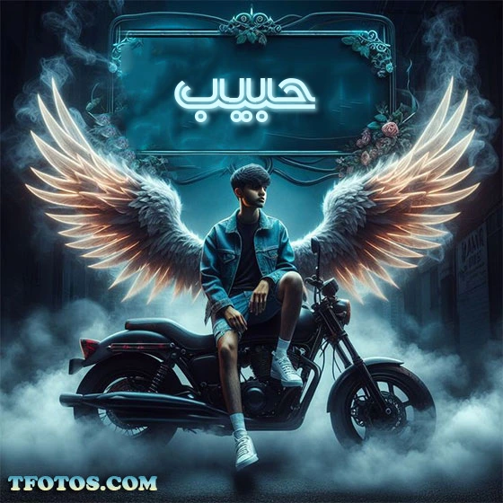 أجمل صور لاسم حبيب