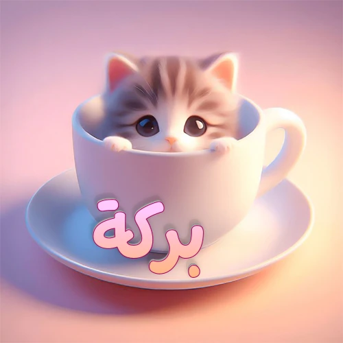 صورة فنية لقطة كرتونية كيوت ذات عيون واسعة وشعر مخطط، تطل من كوب شاي أبيض على صحن مطابق، مع اسم بركة مكتوب بخط عربي زهري وبرتقالي متدرج على الجزء السفلي من الكوب والصحن. الخلفية وردية ناعمة. هذه الصورة مثالية لـ بركة كرمزية أو خلفية شخصية.