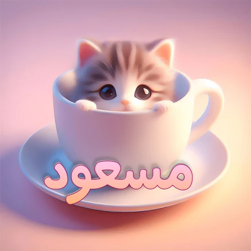 صورة فنية لقطة كرتونية كيوت ذات عيون واسعة وشعر مخطط، تطل من كوب شاي أبيض على صحن مطابق، مع اسم مسعود مكتوب بخط عربي زهري وبرتقالي متدرج على الجزء السفلي من الكوب والصحن. الخلفية وردية ناعمة. هذه الصورة مثالية لـ مسعود كرمزية أو خلفية شخصية.