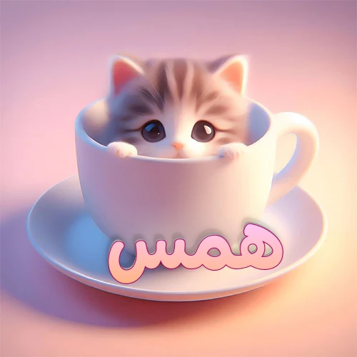 صورة فنية لقطة كرتونية كيوت ذات عيون واسعة وشعر مخطط، تطل من كوب شاي أبيض على صحن مطابق، مع اسم همس مكتوب بخط عربي زهري وبرتقالي متدرج على الجزء السفلي من الكوب والصحن. الخلفية وردية ناعمة. هذه الصورة مثالية لـ همس كرمزية أو خلفية شخصية.