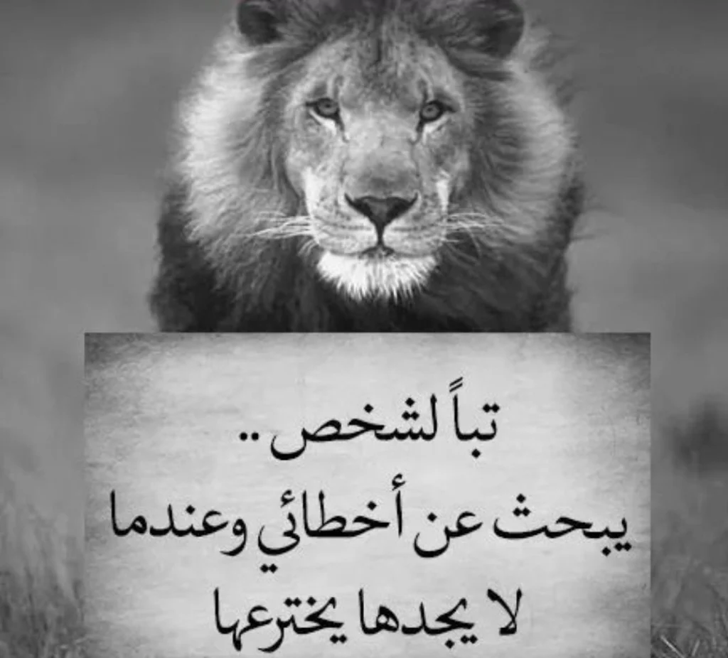 صور حكم للفيسبوك عن الأخطاء المختلقة: تبًا لمن يبحث عنها ويخترعها