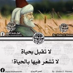 حكمة شمس التبريزي: لا تقبل بحياة لا تشعر فيها بالحياة. صور حكم عن الحياة