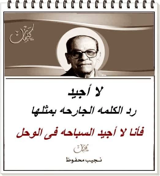 لا أجيد السباحة في الوحل: حكم واقتباسات قصيرة عن الرد على الإساءة والحياة