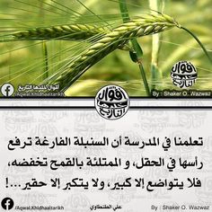 فلا يتواضع إلا كبير ولا يتكبر إلا حقير: صور حكم عن الحياة والتواضع