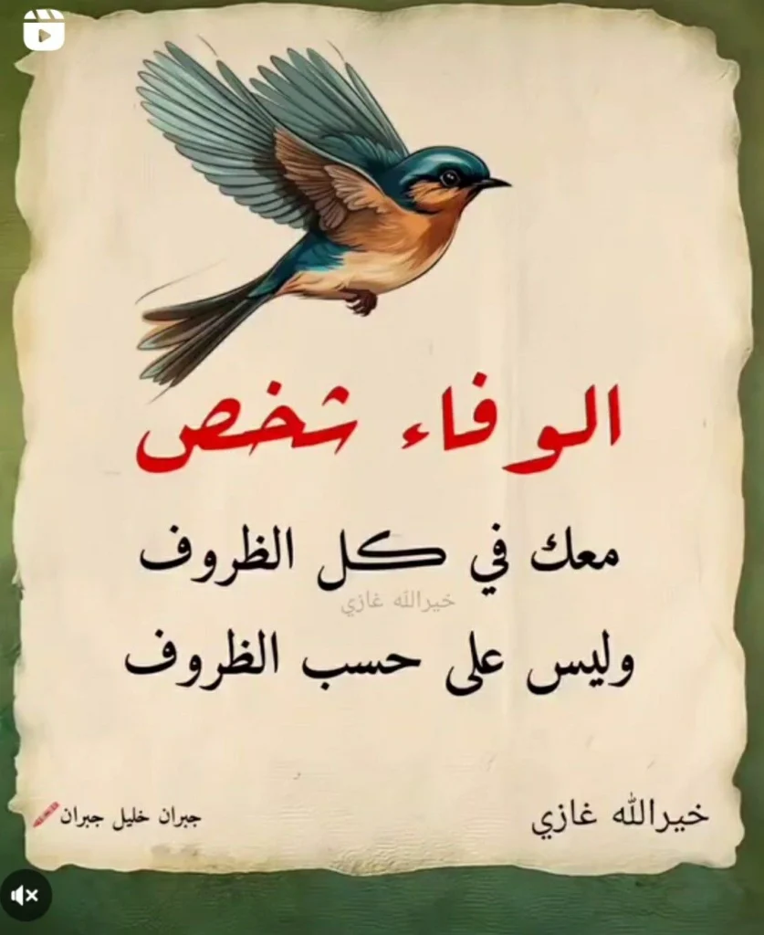 الوفاء الحقيقي: حكم عن الحياة تؤكد أن الصداقة لا تتأثر بالظروف